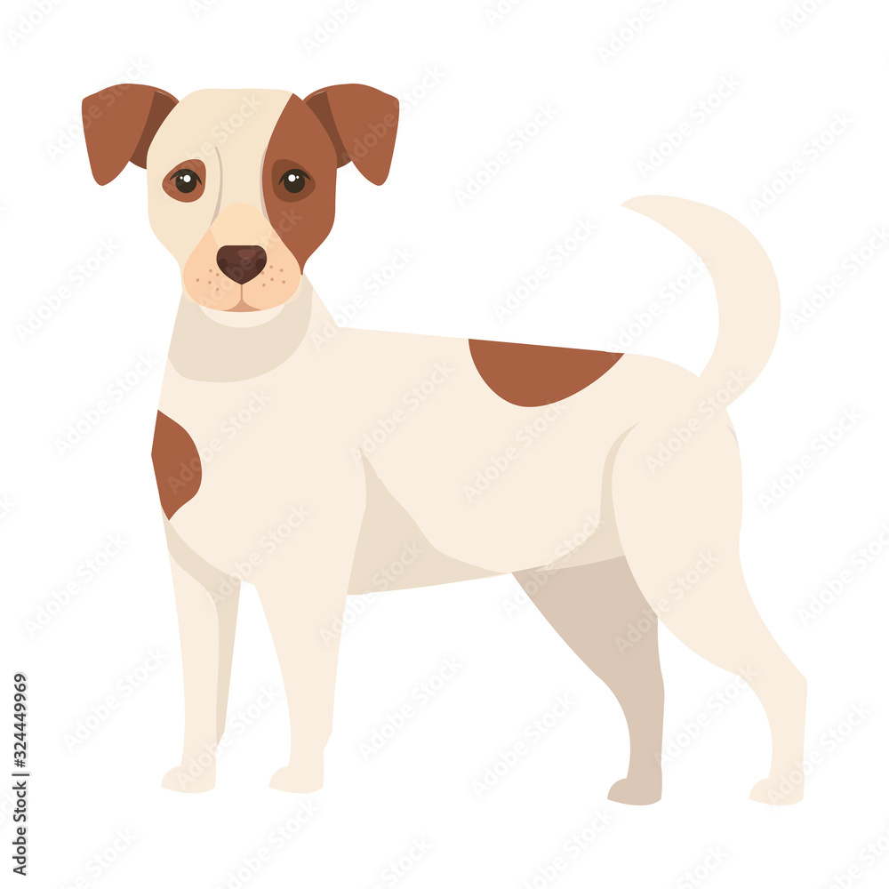 Fototapeta premium white dog with brown spotted isolated icon vector illustration design