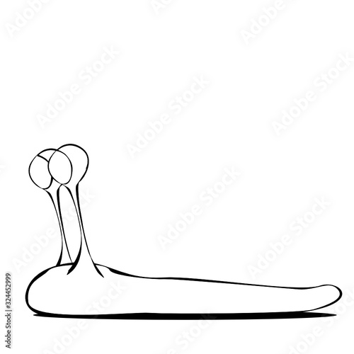 Schnecke