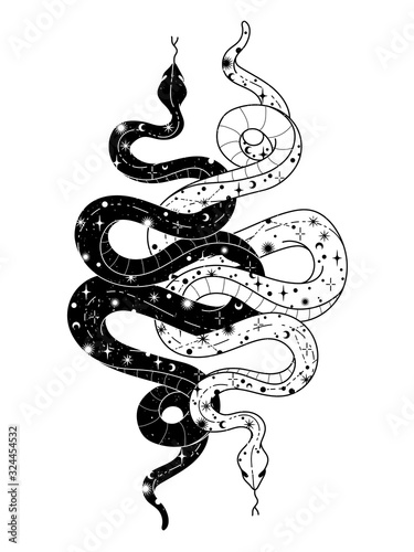 Occult trendy hand drawn illustration with snake, moon and stars.