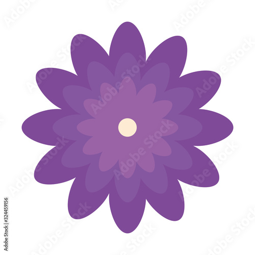 cute flower nature isolated icon vector illustration design