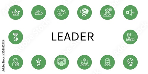 leader simple icons set