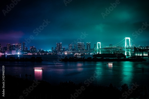 City lights over Tokyo Bay