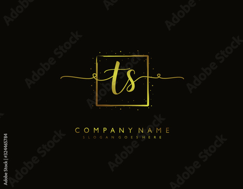 letter TS ST minimalist feminine handwriting logo. vector design of wedding invitation badges, fashion, beauty,