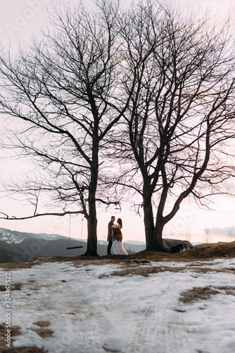 the bride and groom stand between two huge trees against the backdrop of beautiful mountains.