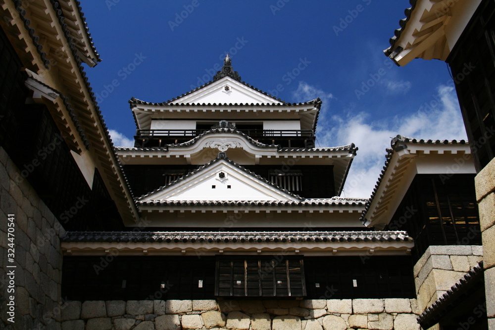 松山城と桜と青空　