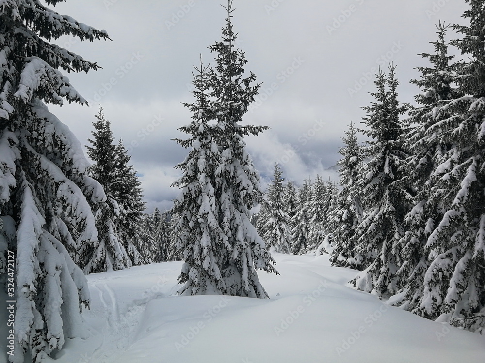 Naklejka premium Zimowa sceneria Niżne Tatry na Słowacji okolice Pohorela