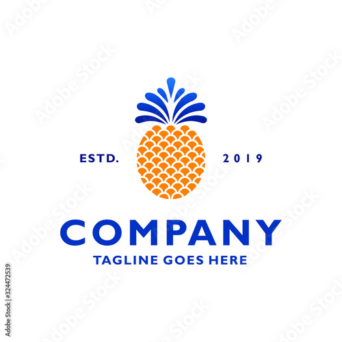 Pineapple with fountain logo. Pineapple logo design template.