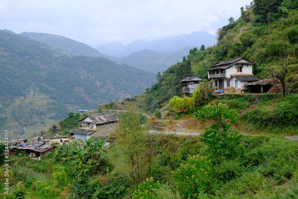 Obraz premium Mountain view with terraced fields and village with traditonal houses in Himalayas, around Ghandruk/Ghandrung, Nepal. During trekking around Annapurna. 