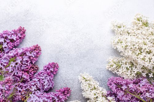 Frame of beautiful purple and white lilacs on stone background. Natural sprinf background. Mockup
