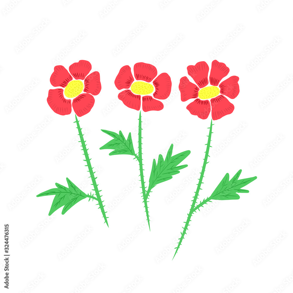 Obraz premium Print poppies. Floral print on a white background. Print for wallpaper, fabric, paper and other surfaces.