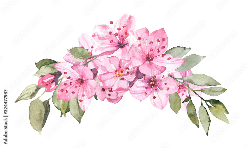 Watercolor hand painted sakura cherry blossom flowers with leaves branches illustration isolated on white background