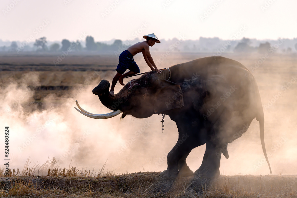 The elephant mahout is pretending to be on the elephant's back.