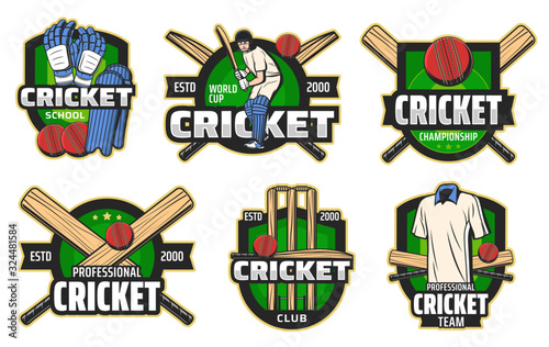 Cricket sport game vector badges with balls, bats and wickets, batsman player, helmet and team uniform, glove, leg pads and play field on shields. Cricket club and championship emblems design