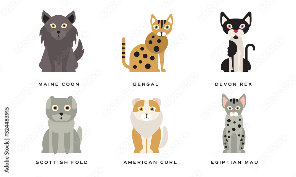 Collection of Different Cats Breeds, Maine Coon, Bengal, Devon Rex, Scottish, Fold, American Curl, Egyptian Mau Lovely Pets Animals Vector Illustration on White Background Collection of Different Cats Breeds, Maine Coon, Bengal, Devon Rex, Scottish, Fold, American Curl, Egyptian Mau Lovely Pets Animals Vector Illustration on White Background