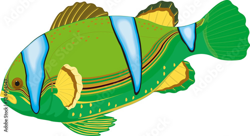 fish cartoon set