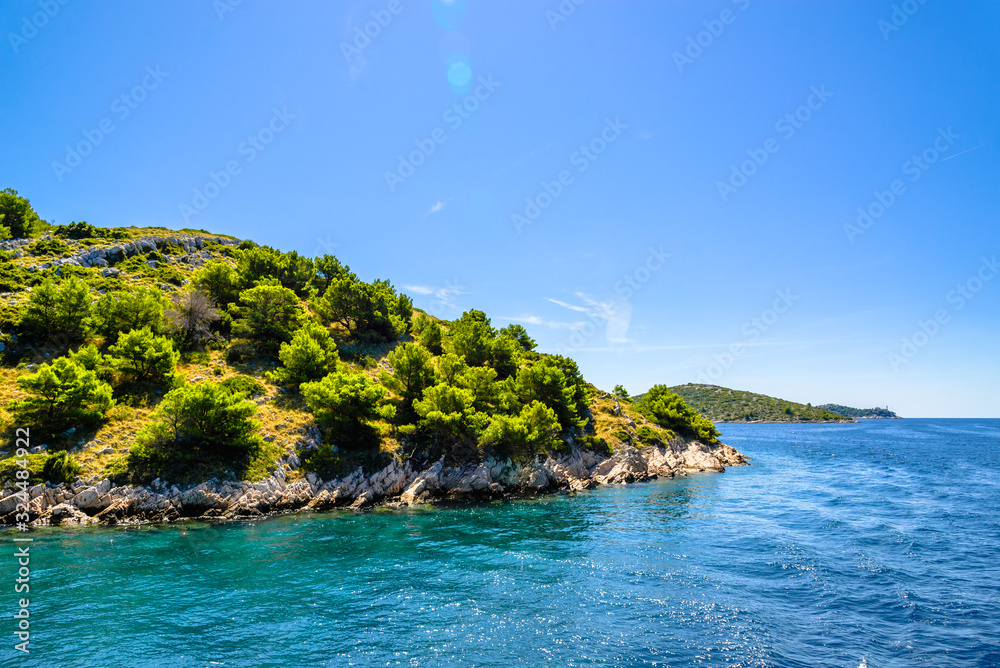 Adriatic coast of island with green pines, Mediterranean Sea, Croatia, Dalmatia