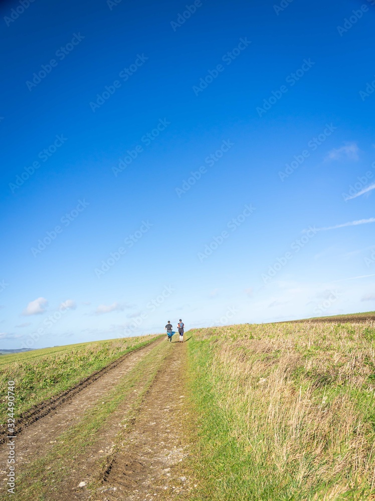 long distant runners cresting a hill long distant runners cresting a hill