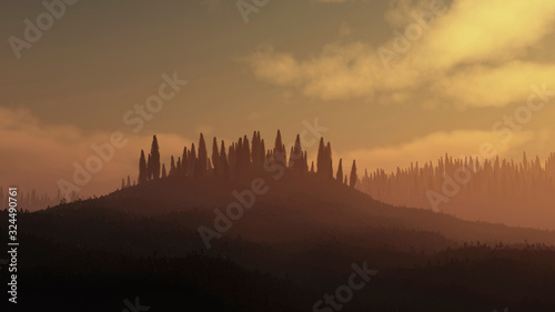 Hill with cypresses trees at sunset.