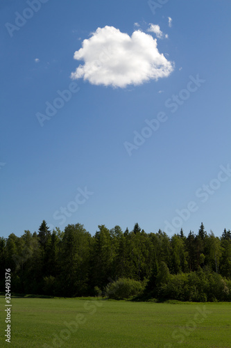 lonely cloud in the blue sky above the forest and field