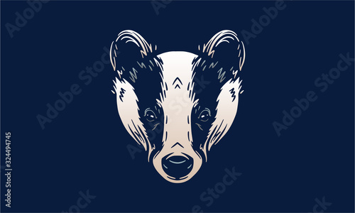 Canvas Print Badger on dark background