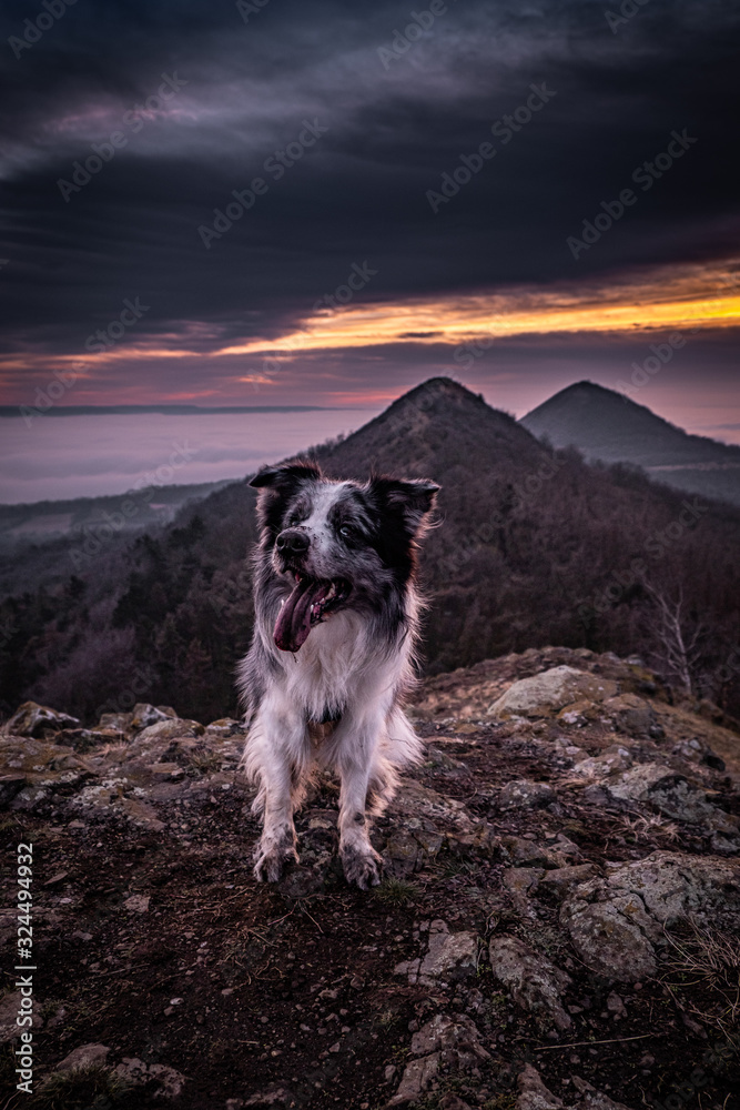 Obraz premium Central Bohemian Highlands is a mountain range located in northern Bohemia in the Czech Republic. The range is about 80 km long, extending from Ceska Lipa in the northeast to Louny.