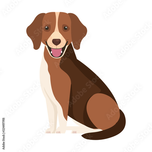 brown dog with white spot isolated icon vector illustration design