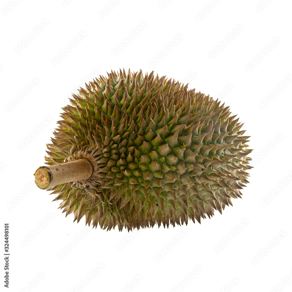 durian or durian with concept on background new. durian or durian with concept on background new.