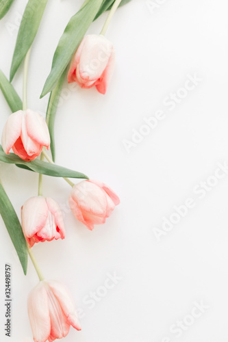 Fototapeta Naklejka Na Ścianę i Meble -  Spring flat lay, vertical image. Pink tulips top view on white background with space for text. Spring flowers, stylish tender image. Greeting card floral border mockup. Happy Womens day