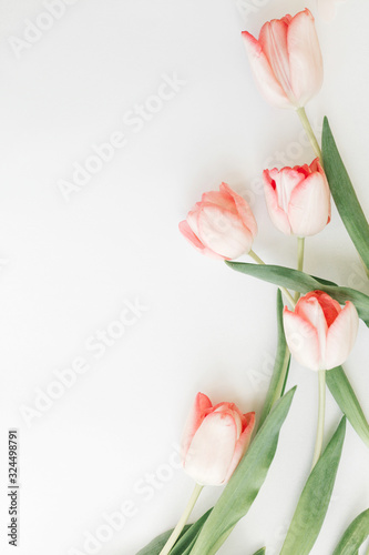 Fototapeta Naklejka Na Ścianę i Meble -  Pink tulips flat lay on white background with space for text. Spring flowers, stylish tender image. Hello spring. Greeting card  floral border mockup. Happy Mothers day, vertical image