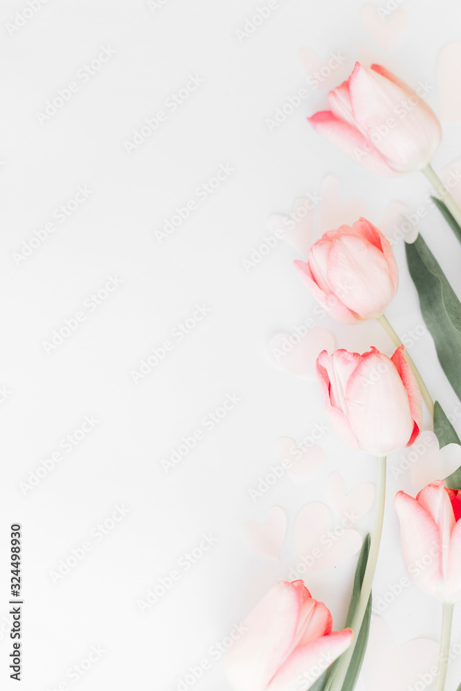 Fototapeta premium Spring flat lay. Pink tulips border on white background, space for text. Stylish soft spring image. Floral Greeting card mockup. Happy women's day. Happy Mothers day. Creative vertical photo