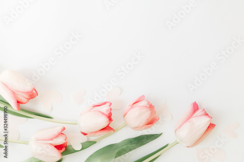 Fototapeta Naklejka Na Ścianę i Meble -  Spring flat lay. Pink tulips on white background with space for text. Spring flowers, stylish tender image. Hello spring. Greeting card floral border mockup. Happy Womens day. Mothers day