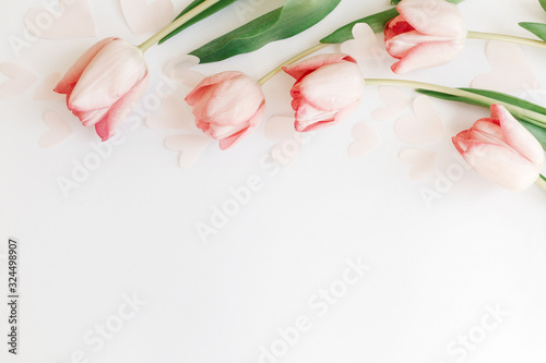 Fototapeta Naklejka Na Ścianę i Meble -  Pink tulips flat lay on white background with space for text. Spring flowers, stylish tender image. Hello spring. Greeting card floral border mockup. Happy Mothers day. Womens day