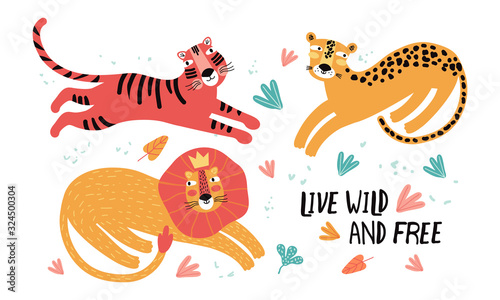 Photography Set of wild cats, leopard, lion, tiger