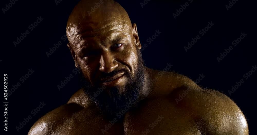 portrait of a huge bald bearded man with bronze skin on a black background. he stares at the camera, moving his muscles, rubbing his head. dark key portrait of a huge bald bearded man with bronze skin on a black background. he stares at the camera, moving his muscles, rubbing his head. dark key