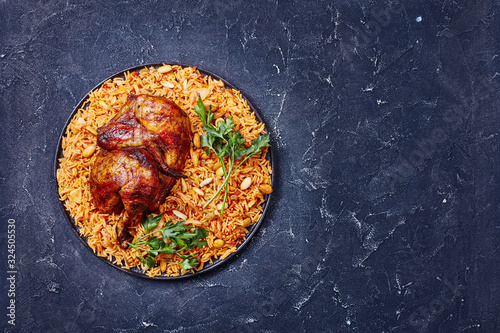 Chicken biryani dish called majboos, copy space photo