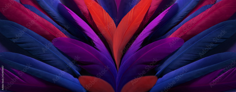 Colorful bright exotic bird wing, feathers, art background Colorful bright exotic bird wing, feathers, art background
