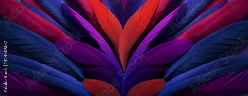 Colorful bright exotic bird wing, feathers, art background © Alena Gerasimova