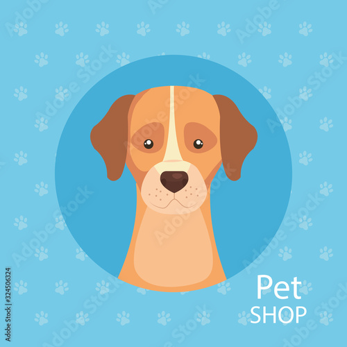 pet shop with cute dog in frame circular vector illustration design