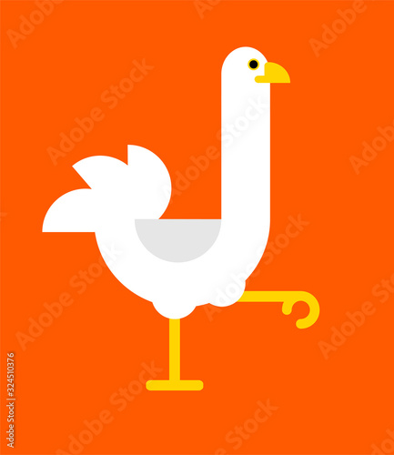 Cute ostrich running african flightless bird cartoon animal design flat vector illustration isolated on color background