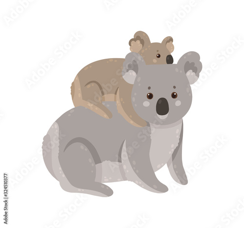 Cute koala with baby isolated on white background. Mother koala with her child.