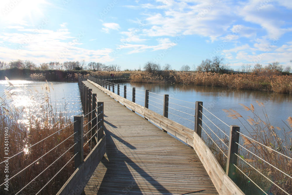 Fototapeta premium The natural Mejean lagoon, a protected wetland in Montpellier, France