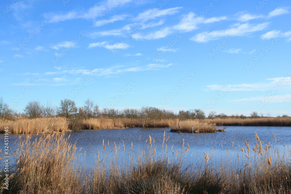 The natural Mejean lagoon, a protected wetland in Montpellier, France