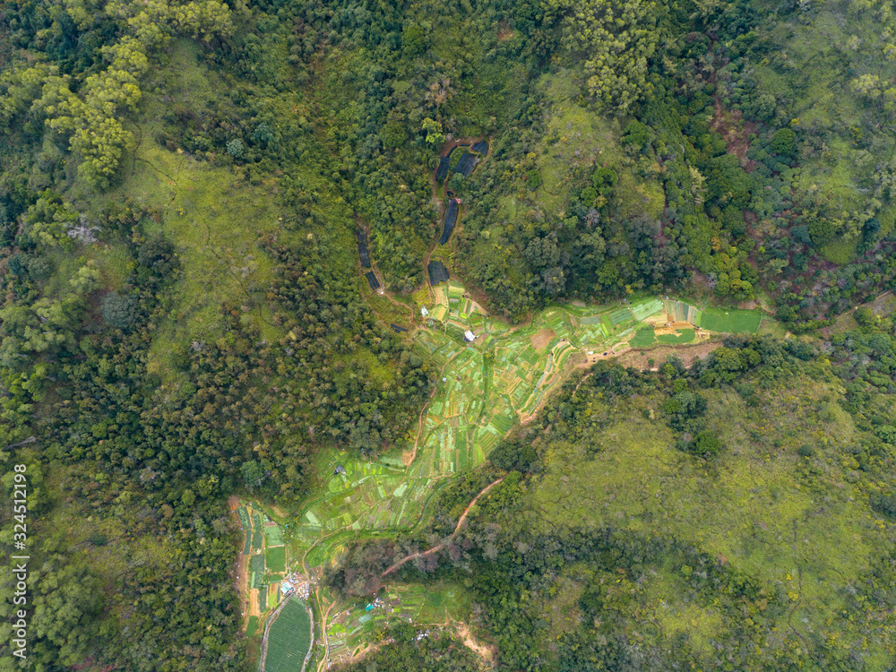Aerial view of rural scene in spring China Aerial view of rural scene in spring China