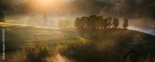 Banner of beautiful misty and foggy morning in golden hour on a peaceful meadow.