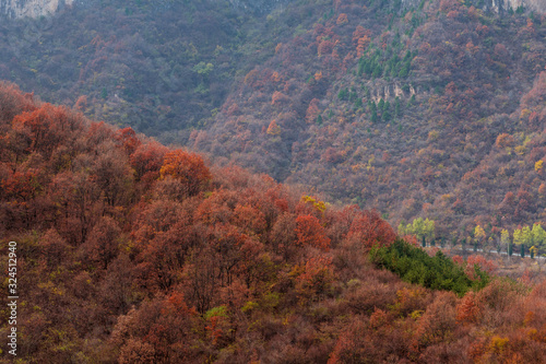 Red bean gorge natural landscape © dong