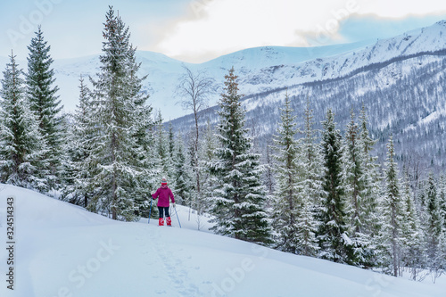 nice senior woman snowshoeing in the arctic landscaoe of northern Norway near the city of Tromso