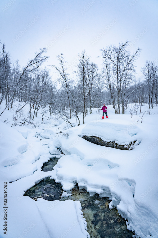nice senior woman snowshoeing in the arctic landscaoe of northern Norway near the city of Tromso nice senior woman snowshoeing in the arctic landscaoe of northern Norway near the city of Tromso