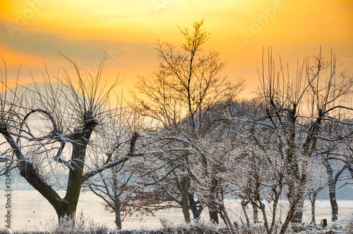 Frozen Bare Trees in Sunset and a Lake with Ice in Lombardy, Italy.