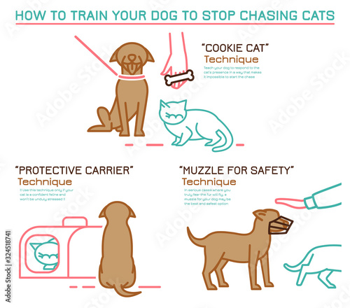 Cats and dogs training technique