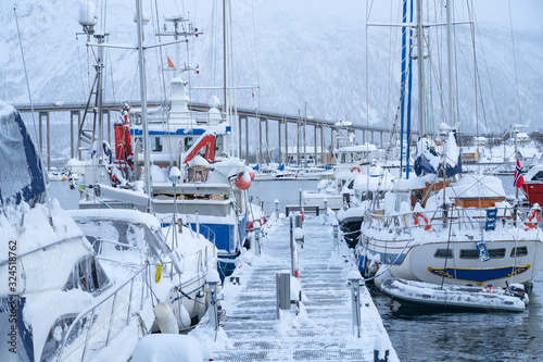 city marina of Tromso in no...